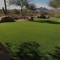 Spring Green Artificial Lawn Turf For Football